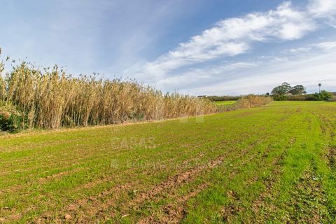 Helårsgrund i Mafra, Lisbon, Mafra - € 100.000 | Ref: V25052 - foto 11