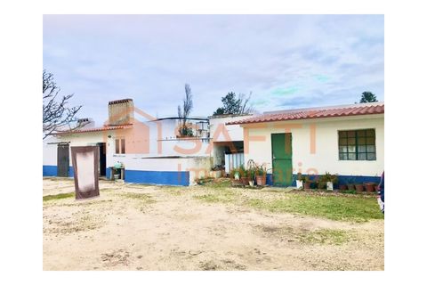 Erhvervsejendom i Alpiarca, Santarem, Alpiarca - € 245.000 | Ref: SAFTI:006412 - foto 4