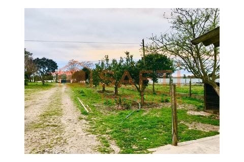 Erhvervsejendom i Alpiarca, Santarem, Alpiarca - € 245.000 | Ref: SAFTI:006412 - foto 3