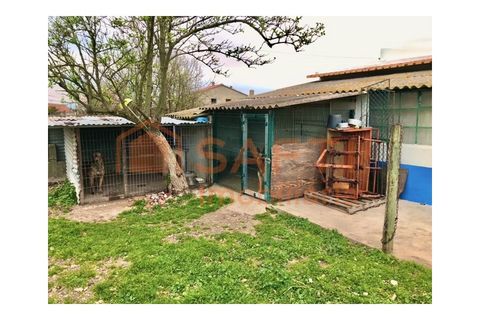 Erhvervsejendom i Alpiarca, Santarem, Alpiarca - € 245.000 | Ref: SAFTI:006412 - foto 20