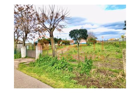 Erhvervsejendom i Alpiarca, Santarem, Alpiarca - € 245.000 | Ref: SAFTI:006412 - foto 2