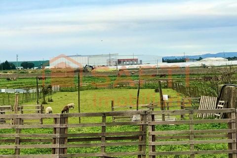 Erhvervsejendom i Alpiarca, Santarem, Alpiarca - € 245.000 | Ref: SAFTI:006412 - foto 29