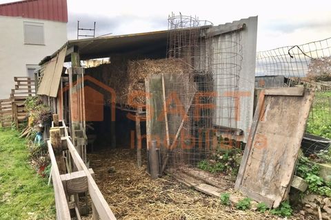 Erhvervsejendom i Alpiarca, Santarem, Alpiarca - € 245.000 | Ref: SAFTI:006412 - foto 30