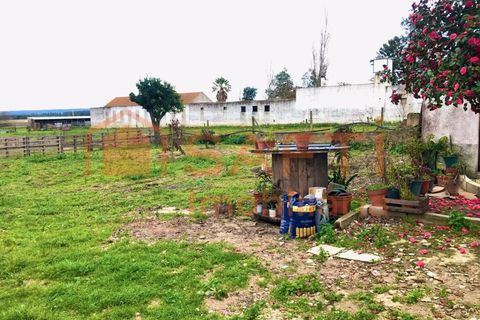 Erhvervsejendom i Alpiarca, Santarem, Alpiarca - € 245.000 | Ref: SAFTI:006412 - foto 31