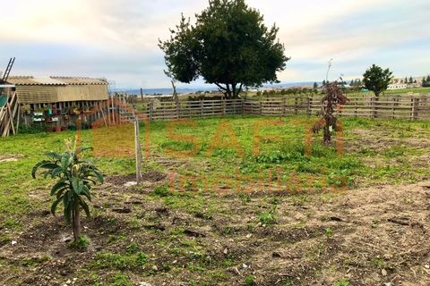 Erhvervsejendom i Alpiarca, Santarem, Alpiarca - € 245.000 | Ref: SAFTI:006412 - foto 32