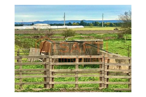 Erhvervsejendom i Alpiarca, Santarem, Alpiarca - € 245.000 | Ref: SAFTI:006412 - foto 39