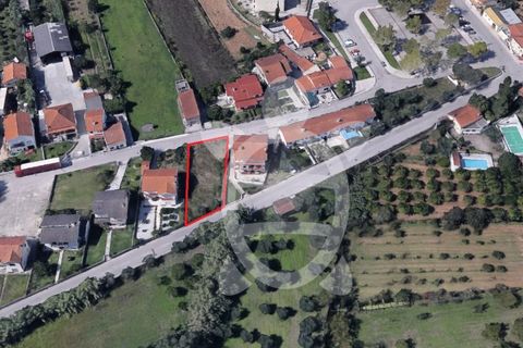Terra a Condeixa-a-Nova, Coimbra, Condeixa-a-Nova - € 53.000 | Ref: cdx0867 - foto 2