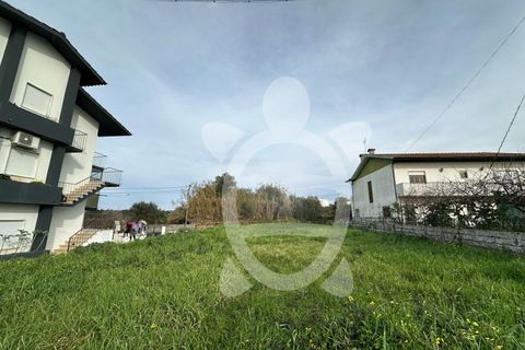 Terra a Condeixa-a-Nova, Coimbra, Condeixa-a-Nova - € 53.000 | Ref: cdx0867 - foto 3