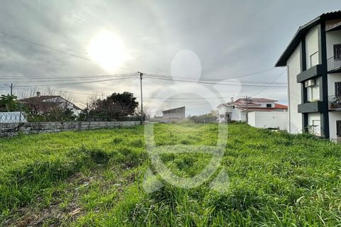Terra a Condeixa-a-Nova, Coimbra, Condeixa-a-Nova - € 53.000 | Ref: cdx0867 - foto 6