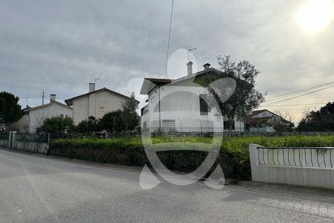 Terra a Condeixa-a-Nova, Coimbra, Condeixa-a-Nova - € 53.000 | Ref: cdx0867 - foto 4