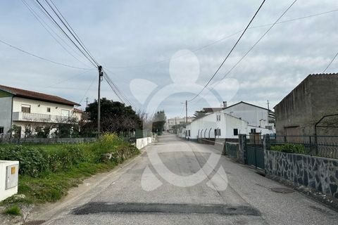 Terra a Condeixa-a-Nova, Coimbra, Condeixa-a-Nova - € 53.000 | Ref: cdx0867 - foto 9