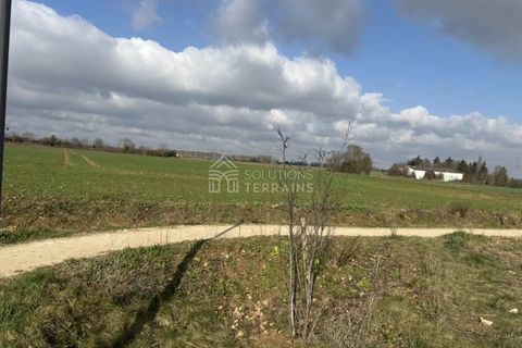 Terra a Saint-Vrain, Essonne, Saint-Vrain - € 145.900 | Ref: SAINT VRAIN - foto 11