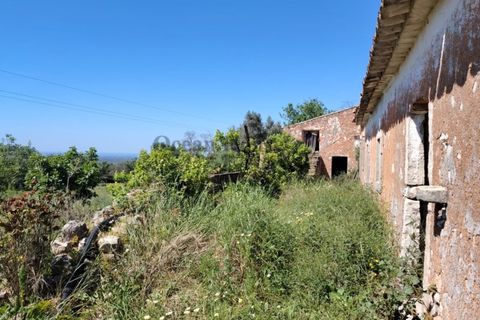 Helårsgrund i Loule, Faro, Loule - € 420.000 | Ref: TER7913 - foto 4