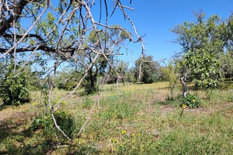 Helårsgrund i Loule, Faro, Loule - € 420.000 | Ref: TER7913 - foto 9