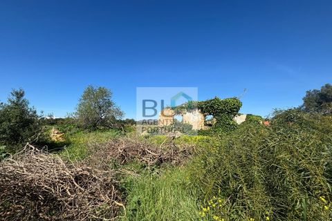 Helårsgrund i Tavira, Faro, Tavira - € 230.000 | Ref: SÒL_515 - foto 5