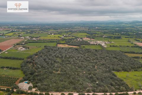 Helårsgrund i Son Mesquida, Mallorca, Son Mesquida - € 675.000 | Ref: 25-024 - foto 1