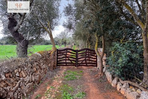 Helårsgrund i Son Mesquida, Mallorca, Son Mesquida - € 675.000 | Ref: 25-024 - foto 2
