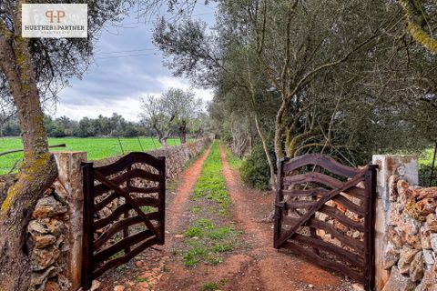 Helårsgrund i Son Mesquida, Mallorca, Son Mesquida - € 675.000 | Ref: 25-024 - foto 3