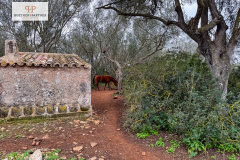 Helårsgrund i Son Mesquida, Mallorca, Son Mesquida - € 675.000 | Ref: 25-024 - foto 4