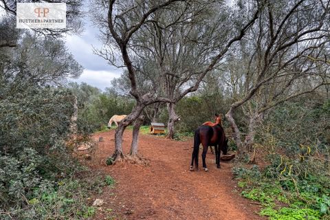 Helårsgrund i Son Mesquida, Mallorca, Son Mesquida - € 675.000 | Ref: 25-024 - foto 7