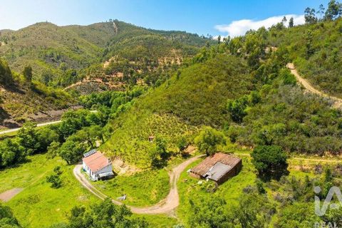 Terra a Monchique, Faro, Monchique - € 233.000 | Ref: 53033 - foto 4