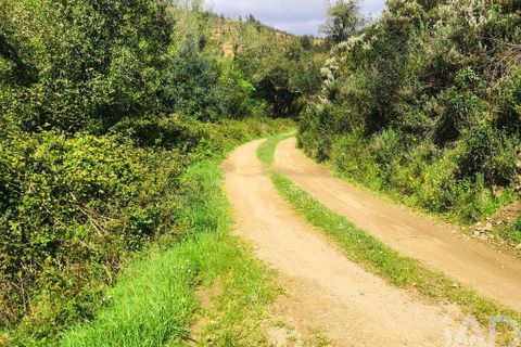 Terra a Monchique, Faro, Monchique - € 233.000 | Ref: 53033 - foto 5