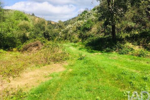 Terra a Monchique, Faro, Monchique - € 233.000 | Ref: 53033 - foto 7