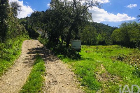 Terra a Monchique, Faro, Monchique - € 233.000 | Ref: 53033 - foto 8