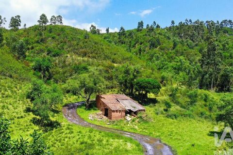 Terra a Monchique, Faro, Monchique - € 233.000 | Ref: 53033 - foto 9