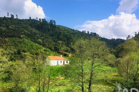 Terra a Monchique, Faro, Monchique - € 233.000 | Ref: 53033 - foto 10