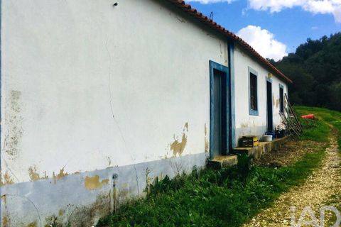Terra a Monchique, Faro, Monchique - € 233.000 | Ref: 53033 - foto 12