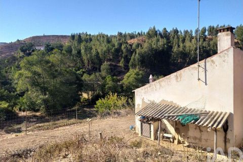 Terra a Monchique, Faro, Monchique - € 233.000 | Ref: 53033 - foto 19