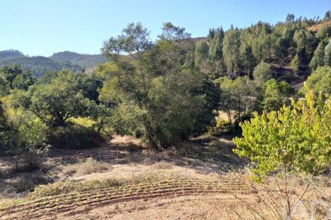 Terra a Monchique, Faro, Monchique - € 233.000 | Ref: 53033 - foto 20