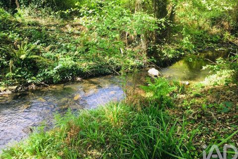 Terra a Monchique, Faro, Monchique - € 233.000 | Ref: 53033 - foto 22