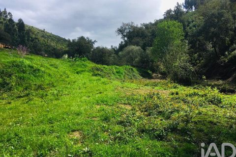 Terra a Monchique, Faro, Monchique - € 233.000 | Ref: 53033 - foto 23