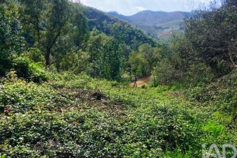 Terra a Monchique, Faro, Monchique - € 233.000 | Ref: 53033 - foto 24