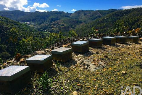 Terra a Monchique, Faro, Monchique - € 233.000 | Ref: 53033 - foto 26