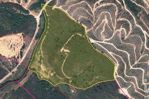 Terra a Monchique, Faro, Monchique - € 233.000 | Ref: 53033 - foto 28