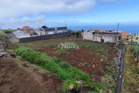 Villa i Calheta, Madeira, Calheta - € 125.000 | Ref: 071910 - foto 16