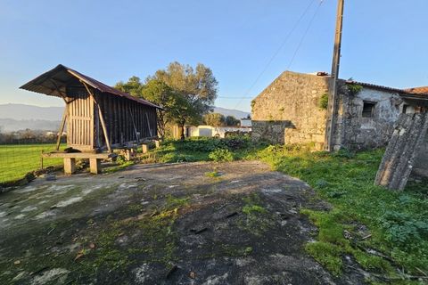 Villa i Ponte de Lima, Viana do Castelo, Ponte de Lima - € 185.000 | Ref: TC74 - foto 8