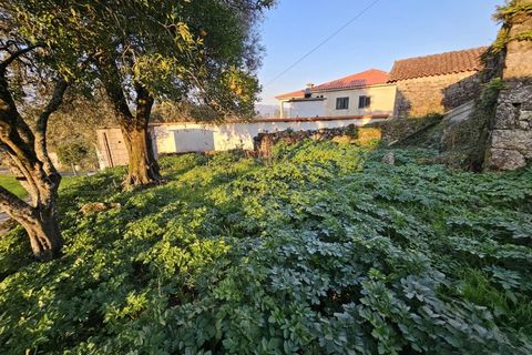 Villa i Ponte de Lima, Viana do Castelo, Ponte de Lima - € 185.000 | Ref: TC74 - foto 9
