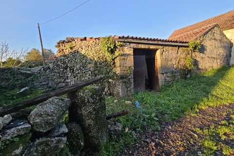 Villa i Ponte de Lima, Viana do Castelo, Ponte de Lima - € 185.000 | Ref: TC74 - foto 15