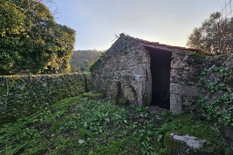 Villa i Ponte de Lima, Viana do Castelo, Ponte de Lima - € 185.000 | Ref: TC74 - foto 17