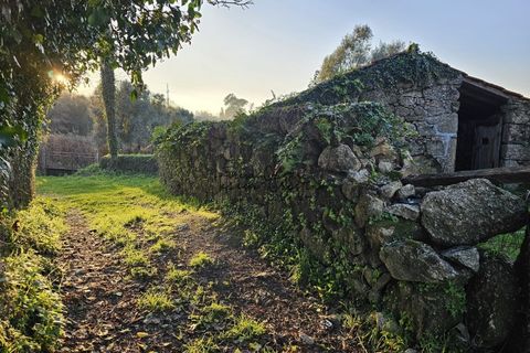Villa i Ponte de Lima, Viana do Castelo, Ponte de Lima - € 185.000 | Ref: TC74 - foto 20