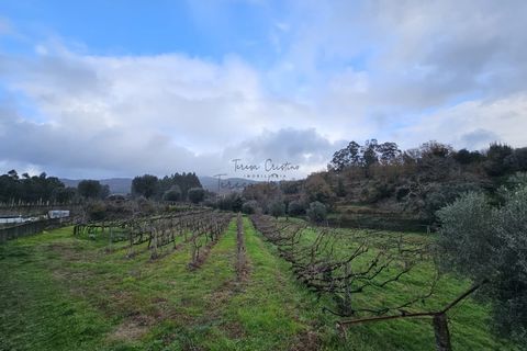 Helårsgrund i Ponte de Lima, Viana do Castelo, Ponte de Lima - € 22.000 | Ref: TC73 - foto 1
