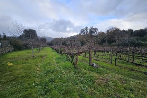 Helårsgrund i Ponte de Lima, Viana do Castelo, Ponte de Lima - € 22.000 | Ref: TC73 - foto 2