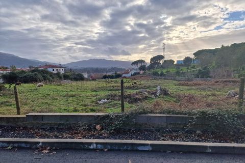 Helårsgrund i Ponte de Lima, Viana do Castelo, Ponte de Lima - € 85.000 | Ref: TC71 - foto 6