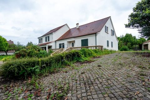 Villa i Ponte de Lima, Viana do Castelo, Ponte de Lima - € 480.000 | Ref: TC63 - foto 4