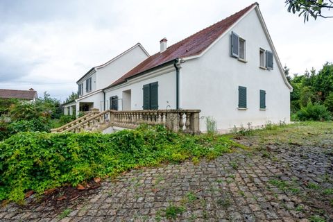 Villa i Ponte de Lima, Viana do Castelo, Ponte de Lima - € 480.000 | Ref: TC63 - foto 5