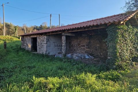 Villa i Ponte de Lima, Viana do Castelo, Ponte de Lima - € 119.000 | Ref: TC38 - foto 4